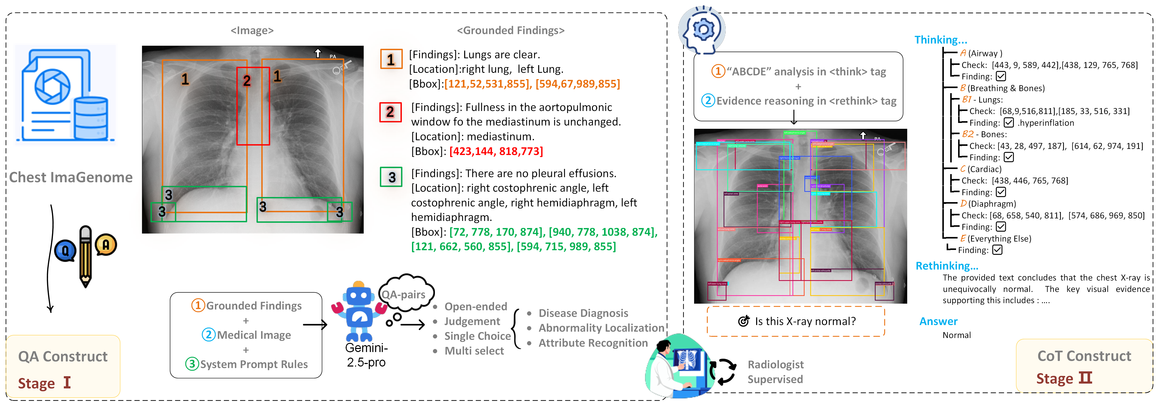 Anatomy-CoT Pipeline